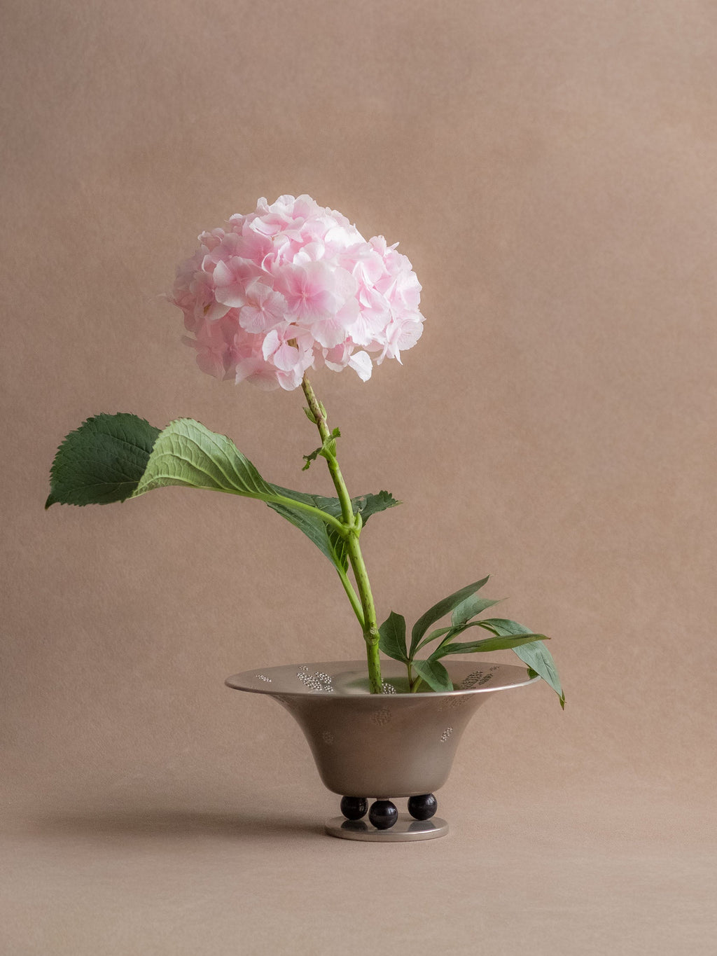 WMF metal pedestal tazza bowl used with a pale pink hydrangea stem on a neutral backdrop.