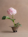 WMF metal pedestal tazza bowl used with a pale pink hydrangea stem on a neutral backdrop.