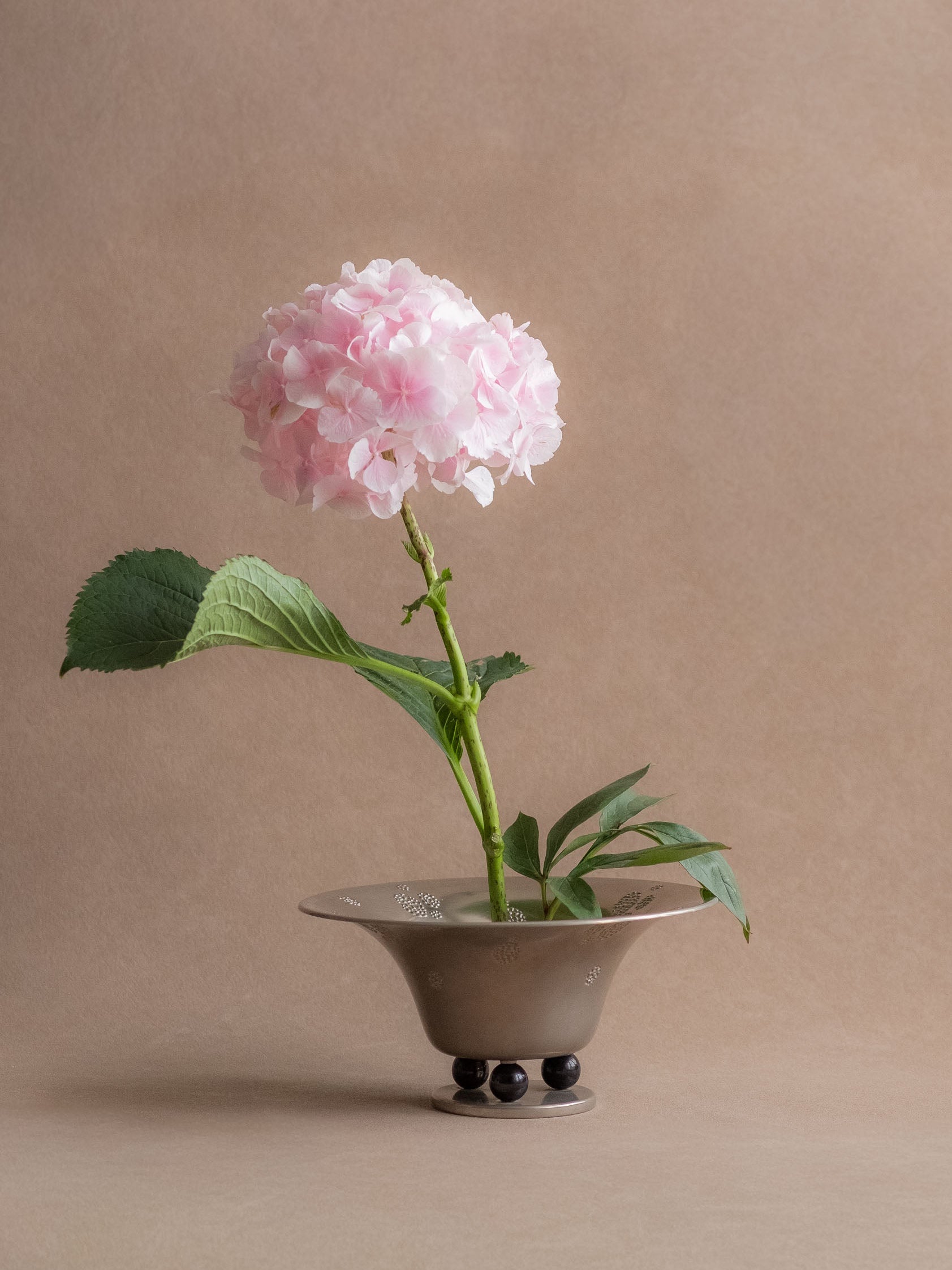WMF metal pedestal tazza bowl used with a pale pink hydrangea stem on a neutral backdrop.
